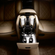 Image for article titled Maybach Zeppelin Revealed Ahead Of Geneva Coronation